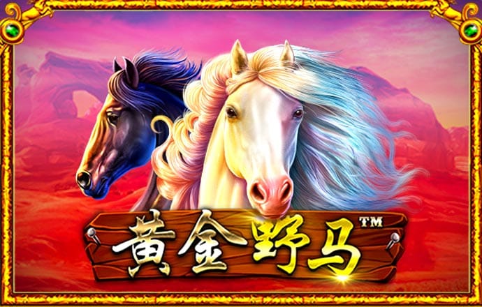 维基体育app下载官网 皇冠新体育app下载官网