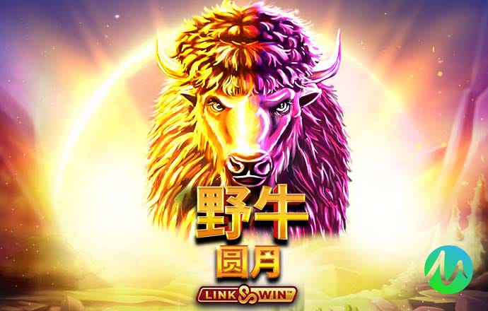 大众彩票官网下载